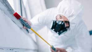 Best Residential Pest Control  in Brewster, OH